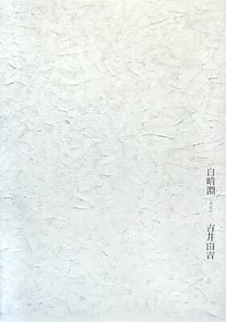 白暗淵（しろわだ）