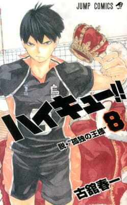 ハイキュー!! 8