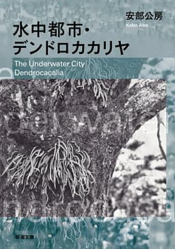 水中都市・デンドロカカリヤ